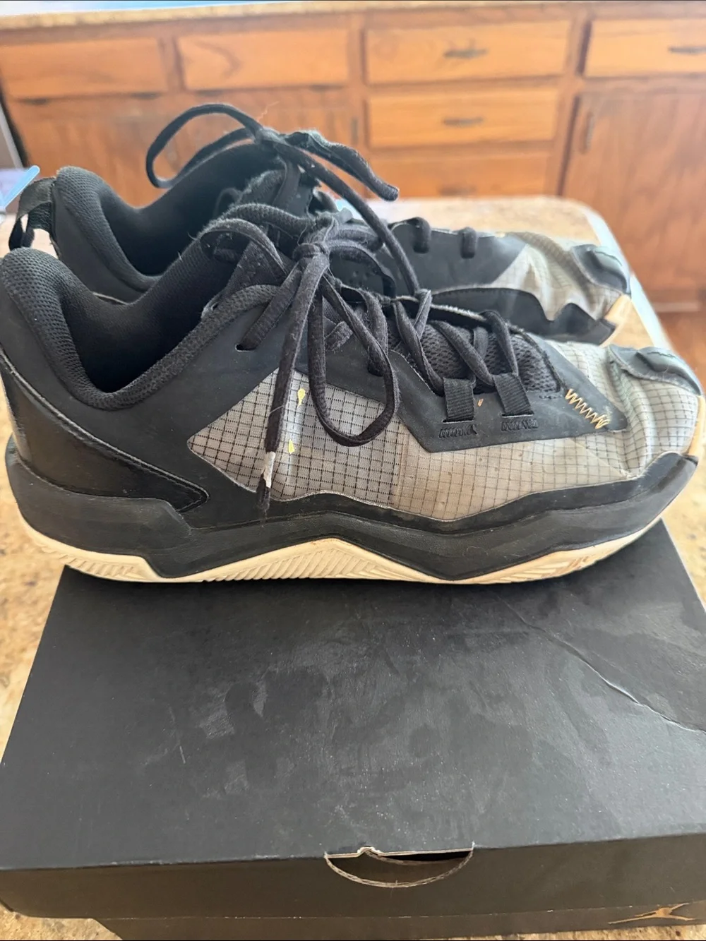 Jordan air 11